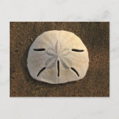 Briefkaart van scharnieren met zandband (kleurenfo (Voorkant)