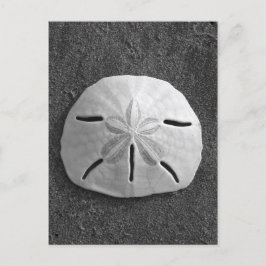 Briefkaart van scharnieren van zandband (B&W-foto)