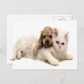 briefkaart van schattige honden en katten (Voorkant / Achterkant)