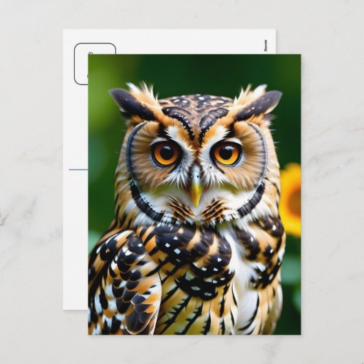 Briefkaart van schoonheid en wijsheid (Voorkant / Achterkant)