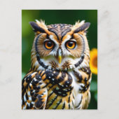 Briefkaart van schoonheid en wijsheid (Voorkant)