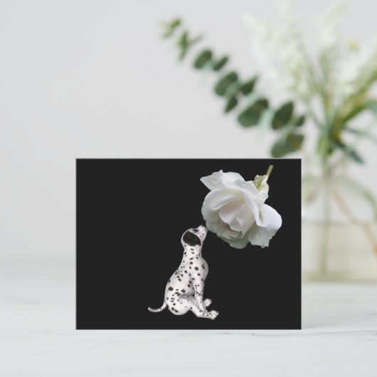 Briefkaart van schoonheidsonnocentie Dalmatian en  (Staand voorkant)