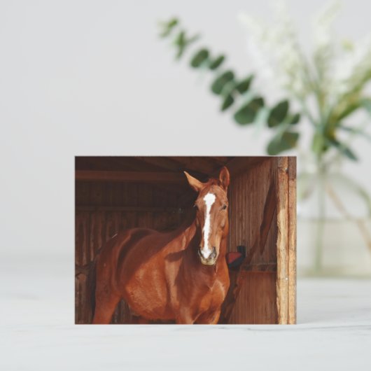 briefkaart van schuur (Staand voorkant)