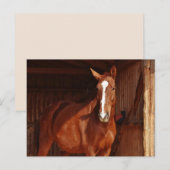 briefkaart van schuur (Voorkant / Achterkant)