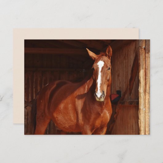 briefkaart van schuur (Voorkant / Achterkant)