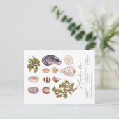 Briefkaart van Seashore Life (Staand voorkant)