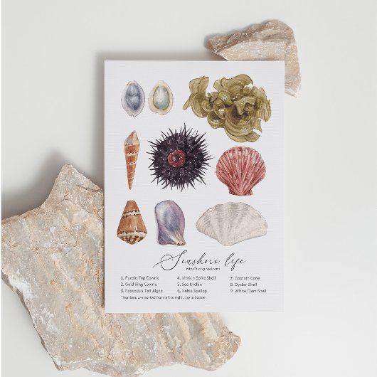 Briefkaart van Seashore Life