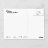 Briefkaart van slachtdieren (Achterkant)