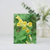 briefkaart van slipbloem (Staand voorkant)