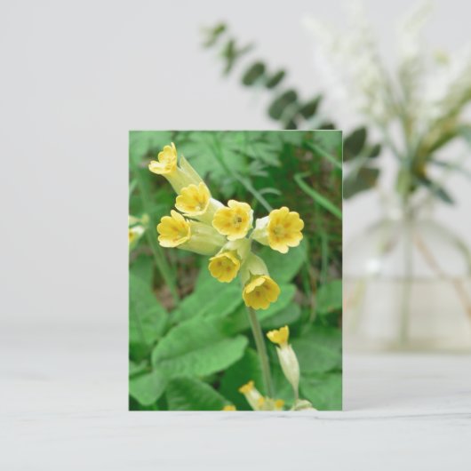 briefkaart van slipbloem (Staand voorkant)