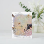 Briefkaart van spinnen (Staand voorkant)