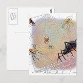 Briefkaart van spinnen (Voorkant / Achterkant)