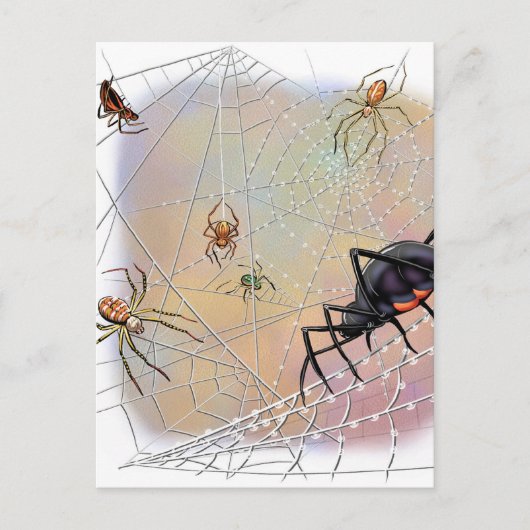 Briefkaart van spinnen (Voorkant)