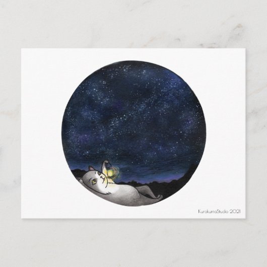 Briefkaart van Stargazer Cat (Voorkant)