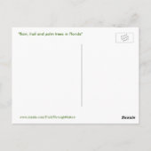 Briefkaart van Stormy weather florida (Achterkant)