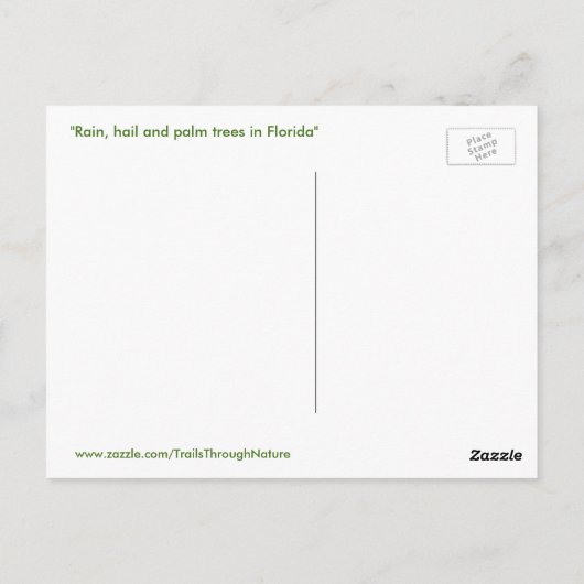 Briefkaart van Stormy weather florida (Achterkant)