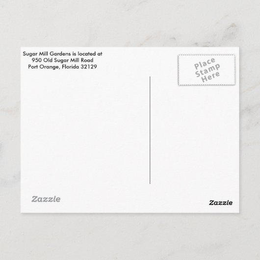 Briefkaart van suikermoer (Achterkant)