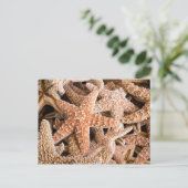 Briefkaart van suikerStarvis (Staand voorkant)