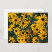 Briefkaart van Susan Flowers (Voorkant / Achterkant)