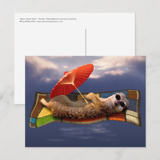 Briefkaart van tapijttapijten (Voorkant / Achterkant)