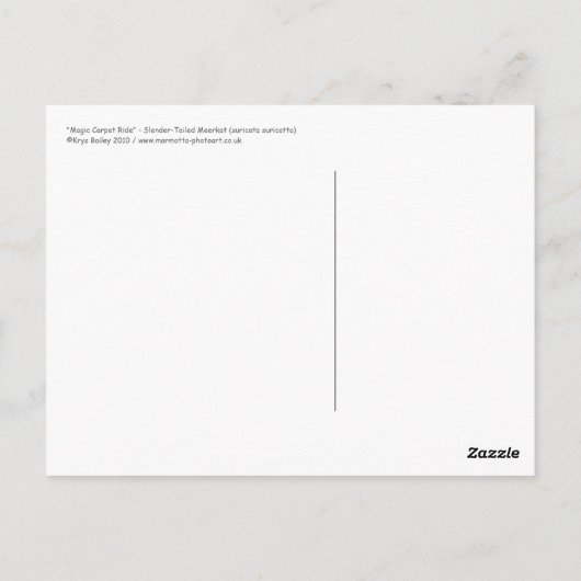 Briefkaart van tapijttapijten (Achterkant)