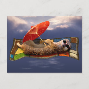 Briefkaart van tapijttapijten