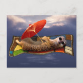 Briefkaart van tapijttapijten (Voorkant)