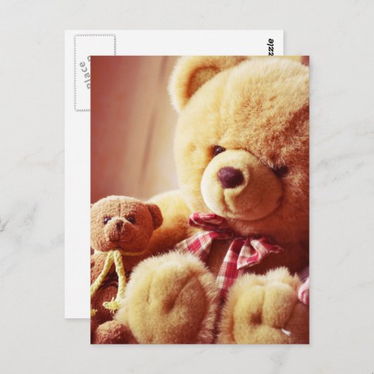 Briefkaart van Teddy beren (Voorkant / Achterkant)