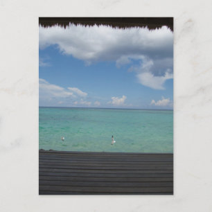 Briefkaart van Thatched Cabana