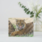 Briefkaart van tijger Cubs (Staand voorkant)