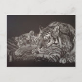 Briefkaart van tijger en Cub (Voorkant)