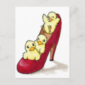 Briefkaart van topkuikens (Voorkant)