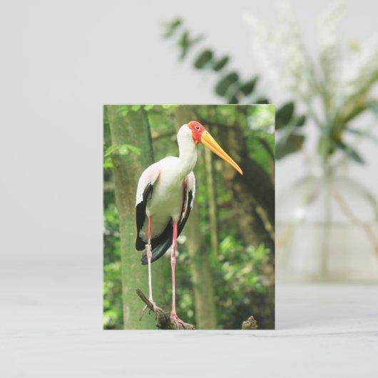 Briefkaart van tropische vogels (Staand voorkant)