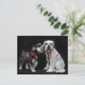 Briefkaart van Twee Schnauzers (Staand voorkant)
