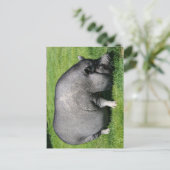 Briefkaart van varkensdarm (Staand voorkant)