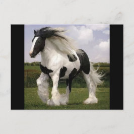 Briefkaart van verf
