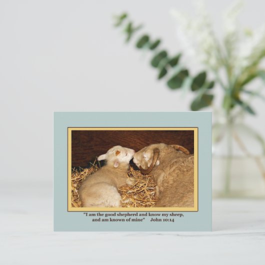 BRIEFKAART VAN VERLIEZEN EN VREDE (Staand voorkant)