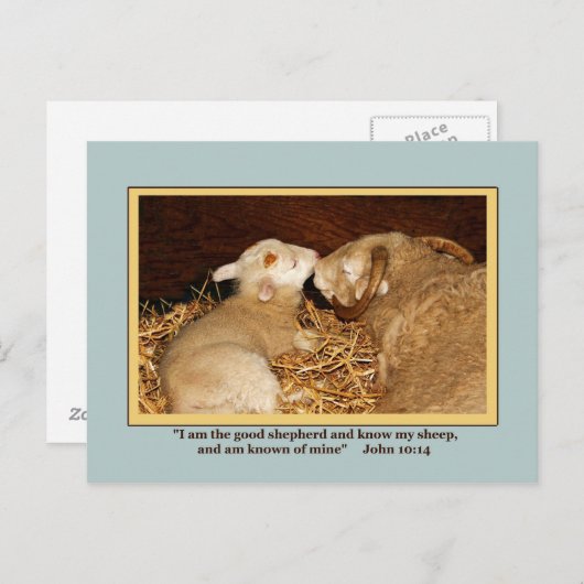 BRIEFKAART VAN VERLIEZEN EN VREDE (Voorkant / Achterkant)