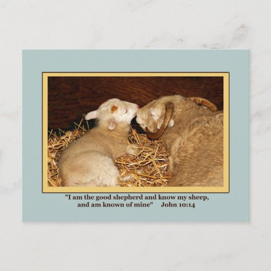 BRIEFKAART VAN VERLIEZEN EN VREDE (Voorkant)