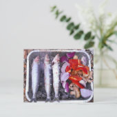 Briefkaart van verse makreel (Staand voorkant)