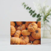 Briefkaart van verse miniatuurpompoenen (Staand voorkant)