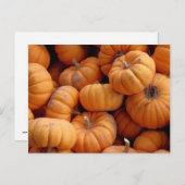 Briefkaart van verse miniatuurpompoenen (Voorkant / Achterkant)