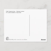 Briefkaart van violettimmerbijen (Achterkant)