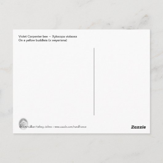 Briefkaart van violettimmerbijen (Achterkant)