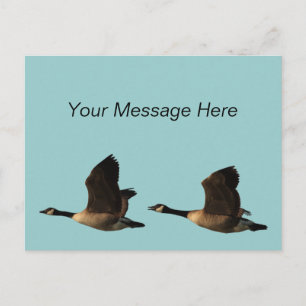 Briefkaart van vliegende ganzen