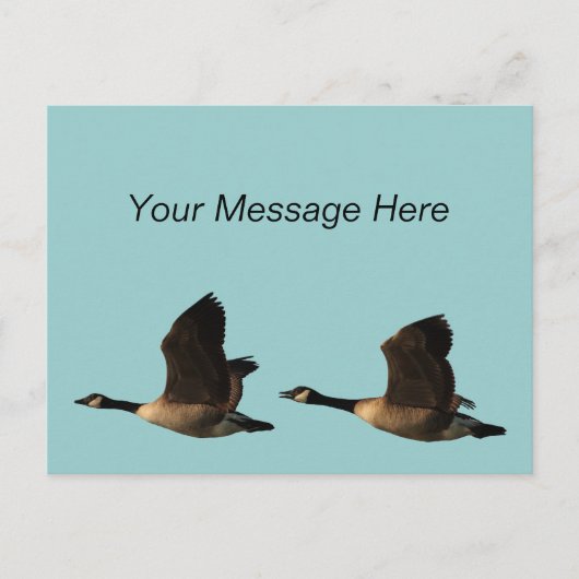 Briefkaart van vliegende ganzen (Voorkant)
