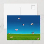 Briefkaart van vliegende varkens (Voorkant / Achterkant)