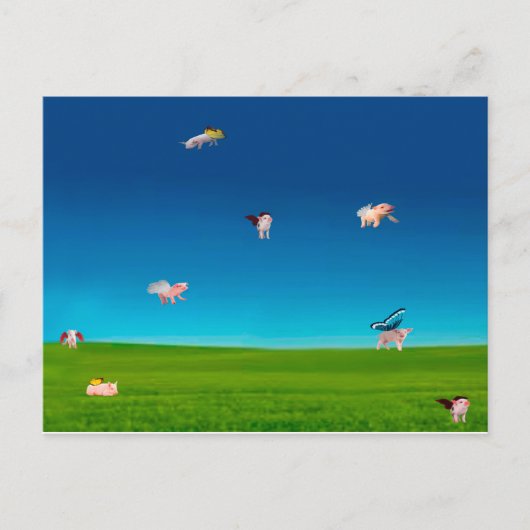 Briefkaart van vliegende varkens (Voorkant)