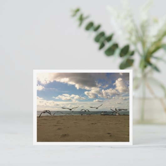 Briefkaart van vliegvogels (Staand voorkant)