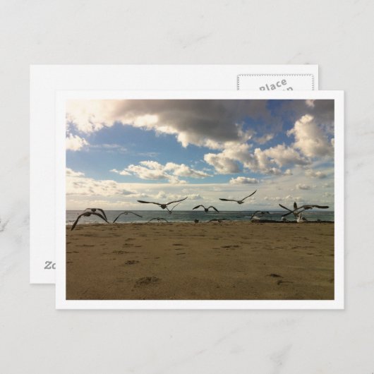 Briefkaart van vliegvogels (Voorkant / Achterkant)